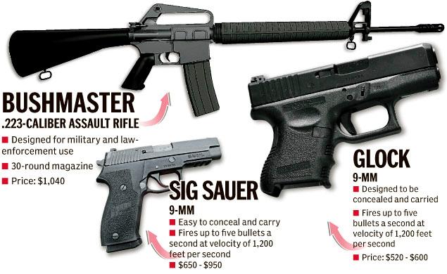 guns used by Newtown shooter